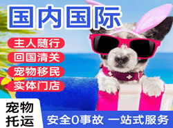新郑航空空运国际宠物托运 【国